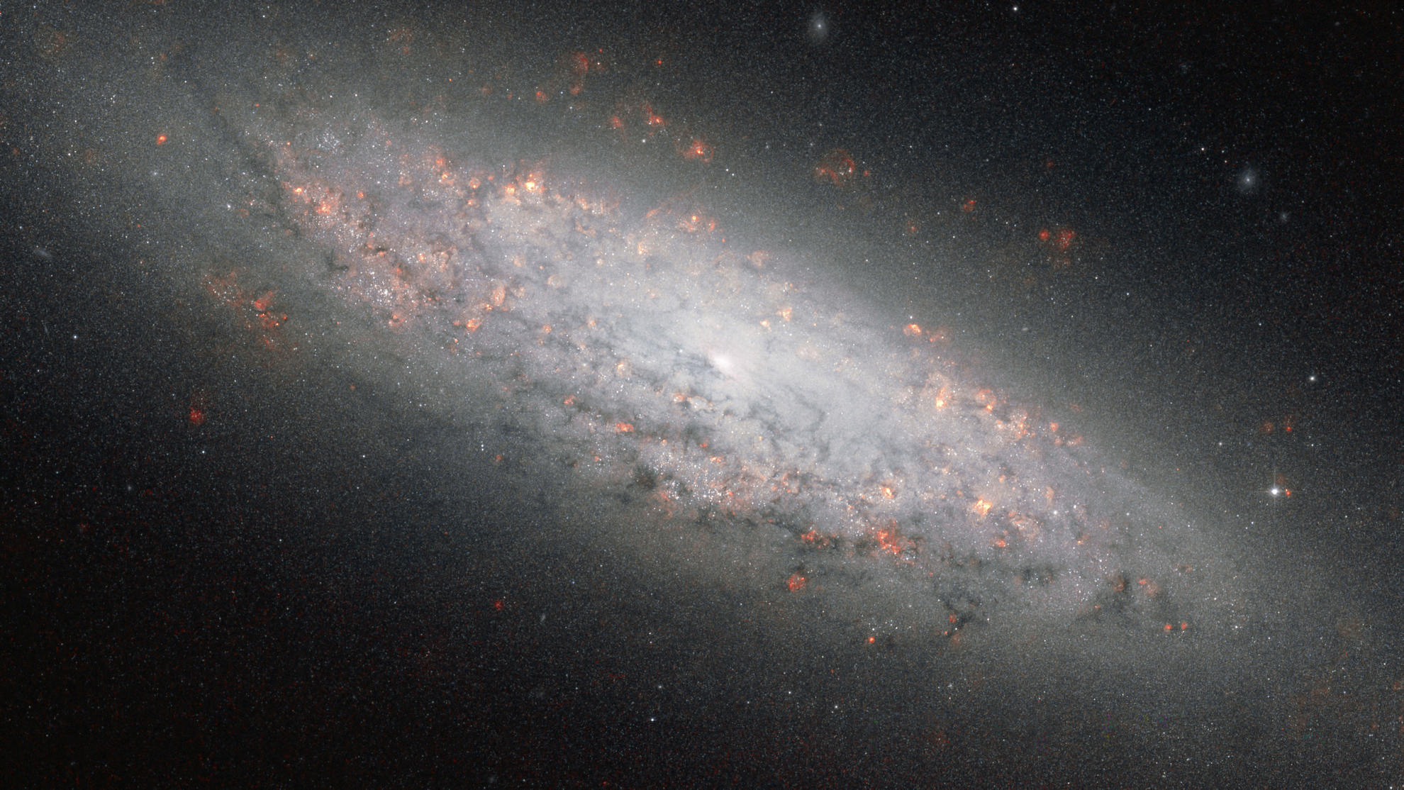 NGC6503 Ha-NIR