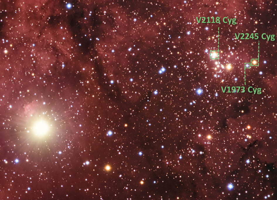 NGC6910-stars3-cut1