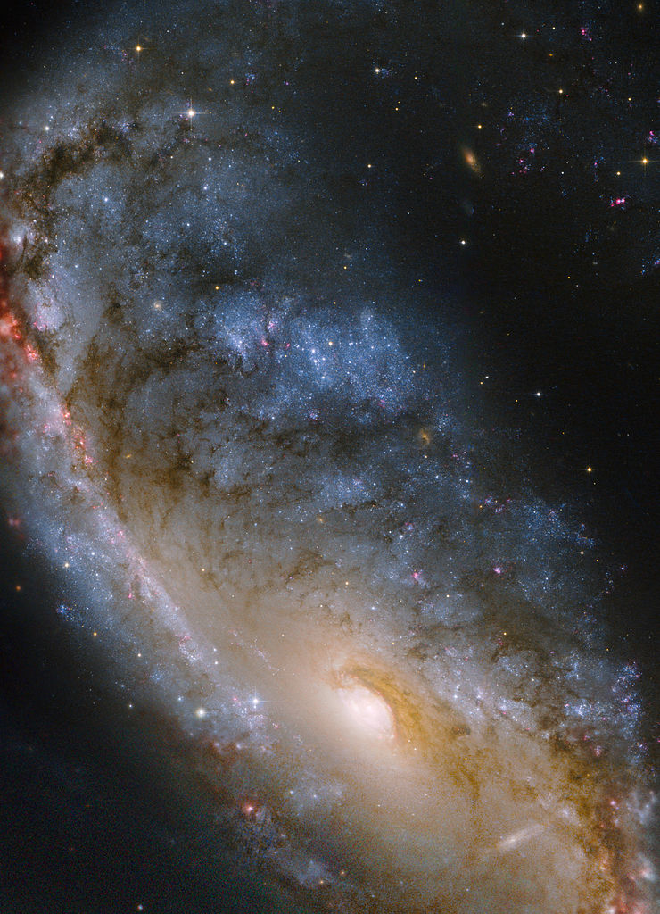 NGC_2442-HST-1-740px