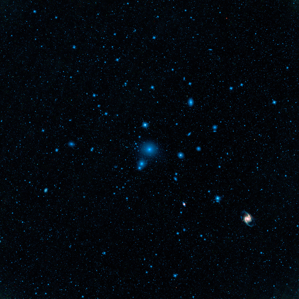 WISE Infrared View of the Fornax Cluster