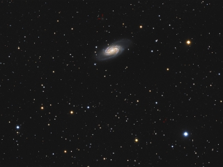 NGC2903-LRGB-20150309-2026-sx-480s-TTK-label