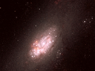 Star Clusters and Circumnuclear Ring in the Centre of NGC 2903 (NICMOS)