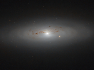 NGC4036 lenticular galaxy