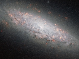 NGC6503 Ha-NIR