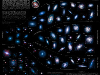 Lifestyles of the Galaxies Next Door