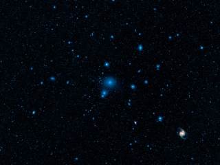 WISE Infrared View of the Fornax Cluster