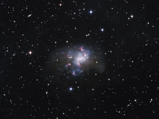 thumbs_NGC1313-LRGB-20141028-TTK