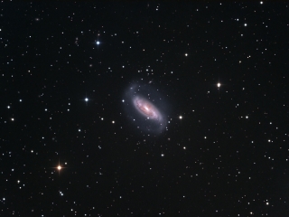 thumbs_NGC1808-LRGB-20140424-TTK
