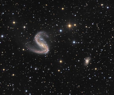 NGC2442 – A kobra és a titkai